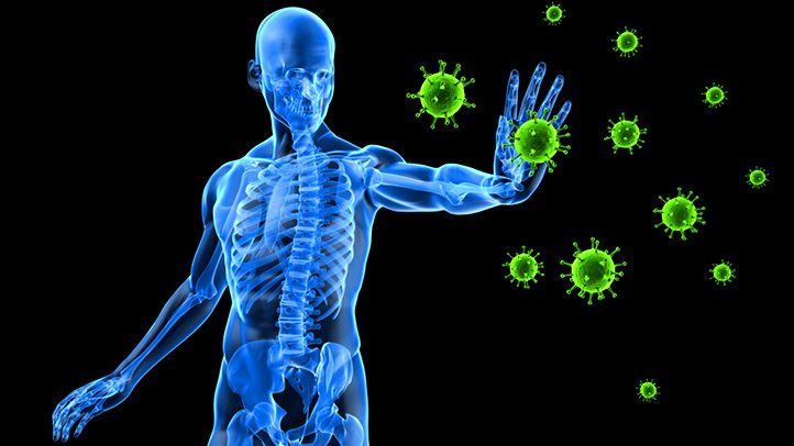 Immune System (What it actually is to the body)
